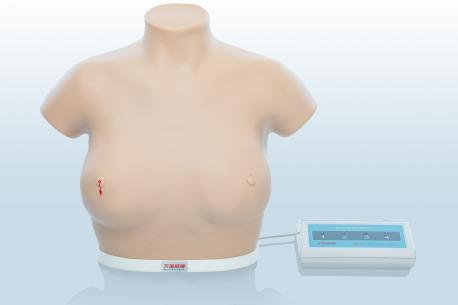 電子乳腺癌觸診、視診訓(xùn)練模型