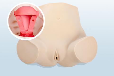 婦科上環(huán)、取環(huán)訓練模型